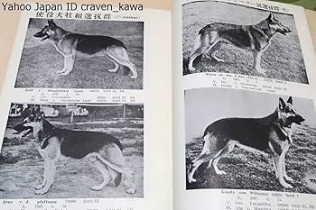 【中古】 シェパード犬の飼い方 (愛犬12カ月シリーズ) / 愛犬の友編集部 / Amazon.co.jp: シェパード犬 (愛犬の友犬種別シリーズ) : 愛犬の